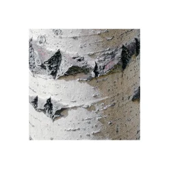 Discount Komar Vlies Fototapete Colorful Aspenwoods 450x280 cm