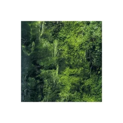 Clearance Komar Vlies Fototapete Glenevin Falls 200x250 cm