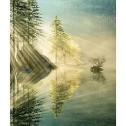 Outlet Komar Vlies Fototapete Indulgence of Beauty 200x250 cm