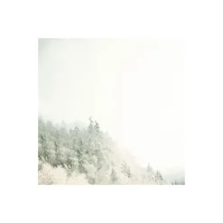 Clearance Komar Vlies Fototapete Journey 300x280 cm