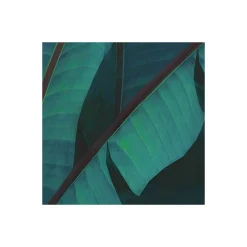 Clearance Komar Vlies Fototapete Jungle Morning 400x250 cm
