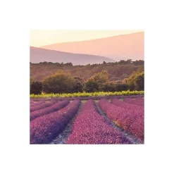 Sale Komar Vlies Fototapete Lavender Dream 450x280 cm