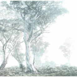 Clearance Komar Vlies Fototapete Magic Trees 300x280 cm