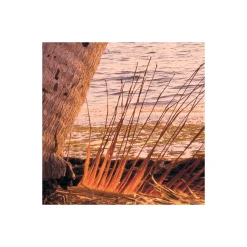 Outlet Komar Vlies Fototapete Reaching the Sun 400x250 cm