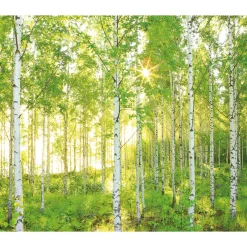 Outlet Komar Vlies Fototapete Sunday 300x250 cm