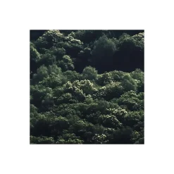 Best Komar Vlies Fototapete The Summit 300x250 cm