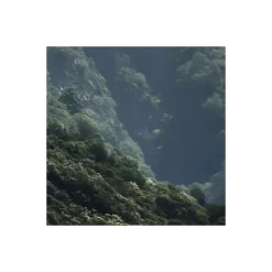 Best Komar Vlies Fototapete The Summit 300x250 cm