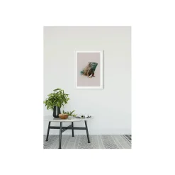 Clearance Komar Wandbild Animals Paradise Iguana 50x70 cm