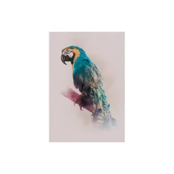 Sale Komar Wandbild Animals Paradise Parrot 50x70 cm