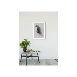 Sale Komar Wandbild Animals Paradise Parrot 50x70 cm