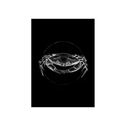 Discount Komar Wandbild Crab Black 50x70 cm