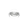 Online Komar Wandbild Crab White 50x70 cm