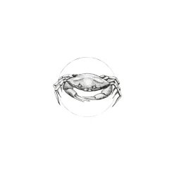 Online Komar Wandbild Crab White 50x70 cm