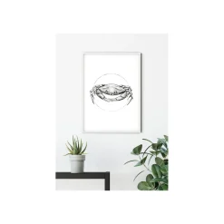 Online Komar Wandbild Crab White 50x70 cm