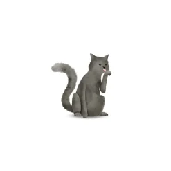 Komar Wandbild Cute Animal Cat 50x70 cm