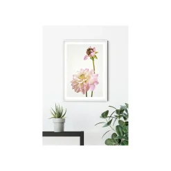 Clearance Komar Wandbild Dahlia 40x50 cm