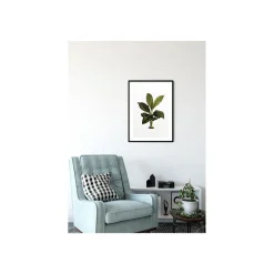 Online Komar Wandbild Elastica Leaf 50x70 cm