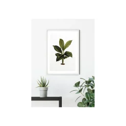 Online Komar Wandbild Elastica Leaf 50x70 cm