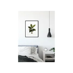 New Komar Wandbild Elastica Leaf 40x50 cm