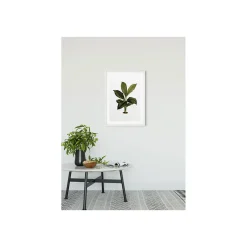New Komar Wandbild Elastica Leaf 40x50 cm