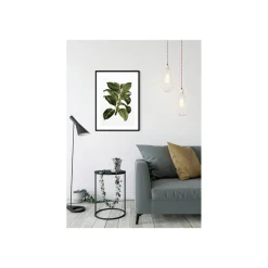 New Komar Wandbild Elastica Tree 40x50 cm