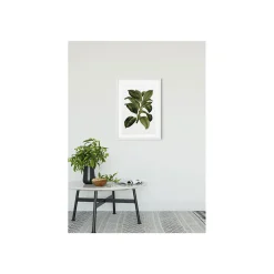New Komar Wandbild Elastica Tree 40x50 cm