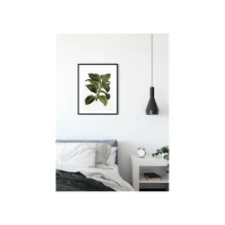 New Komar Wandbild Elastica Tree 40x50 cm
