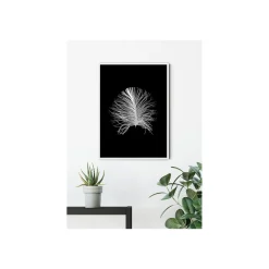 Hot Komar Wandbild Feather Black 50x70 cm