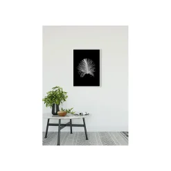 Hot Komar Wandbild Feather Black 50x70 cm