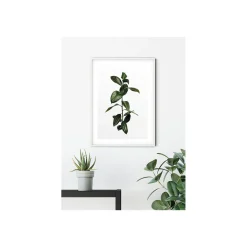 Outlet Komar Wandbild Ficus Branch 50x70 cm