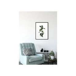 Online Komar Wandbild Ficus Branch 40x50 cm