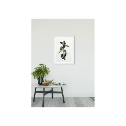 Online Komar Wandbild Ficus Branch 40x50 cm