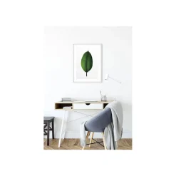Online Komar Wandbild Ficus Leaf 50x70 cm