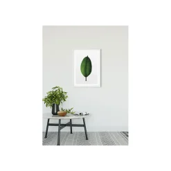 Online Komar Wandbild Ficus Leaf 50x70 cm