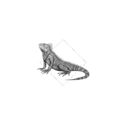 Komar Wandbild Iguana White 50x70 cm