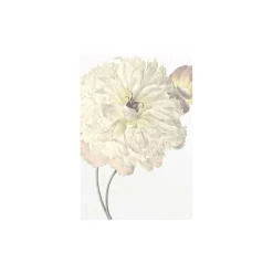 New Komar Wandbild Illustration Dahlia 50x70 cm