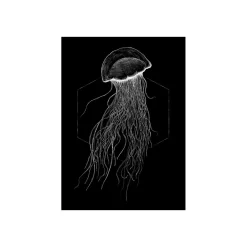 Komar Wandbild Jellyfish Black 50x70 cm