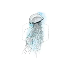 Online Komar Wandbild Jellyfish Watercolor 50x70 cm