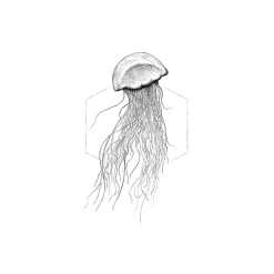 Hot Komar Wandbild Jellyfish White 50x70 cm