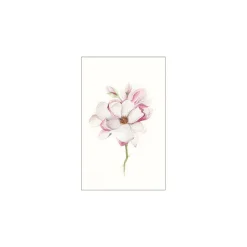 Hot Komar Wandbild Magnolia Blossom 40x50 cm