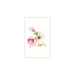 Komar Wandbild Magnolia Breathe 50x70 cm