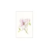 Komar Wandbild Magnolia Shine 40x50 cm