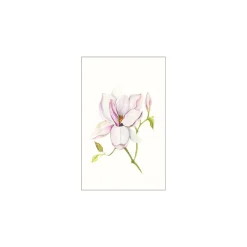 Komar Wandbild Magnolia Shine 40x50 cm