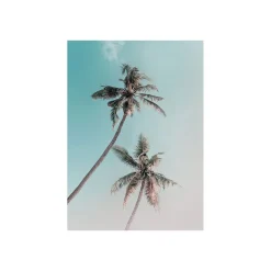 Hot Komar Wandbild Miami Palms 50x70 cm