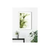 Komar Wandbild Reed Leaves- 50x70 cm