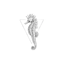 Komar Wandbild Sea Horse White 50x70 cm