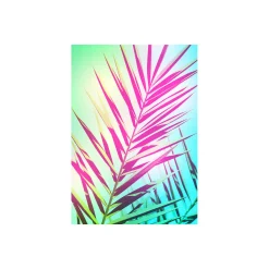 Sale Komar Wandbild Shine 50x70 cm
