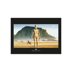 Best Komar Wandbild Star Wars Classic Droids 70x50 cm