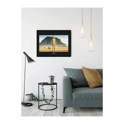Best Komar Wandbild Star Wars Classic Droids 70x50 cm