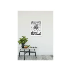 Online Komar Wandbild Succulent Closeup 50x70 cm